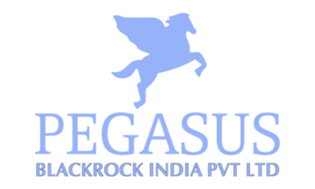 Pegasus